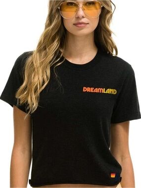 Aviator Nation Dreamland Tee - Charcoal with Orange & Yellow Logo